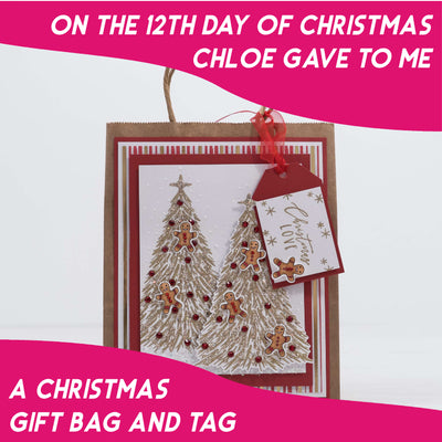 12 Projects of Christmas - Day 12 - Christmas Gift Bag and Tag