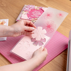 Cut and Emboss Folders