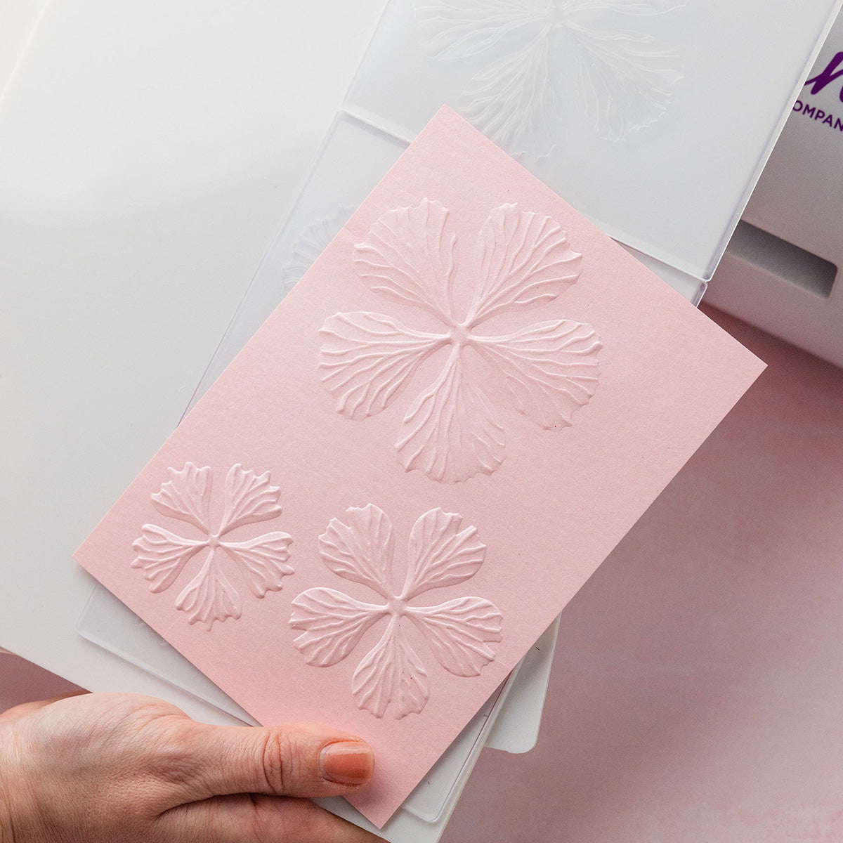 Chloe's Creative Cards Peony - 3D Embossing Folder, Die & Vellum Bundle