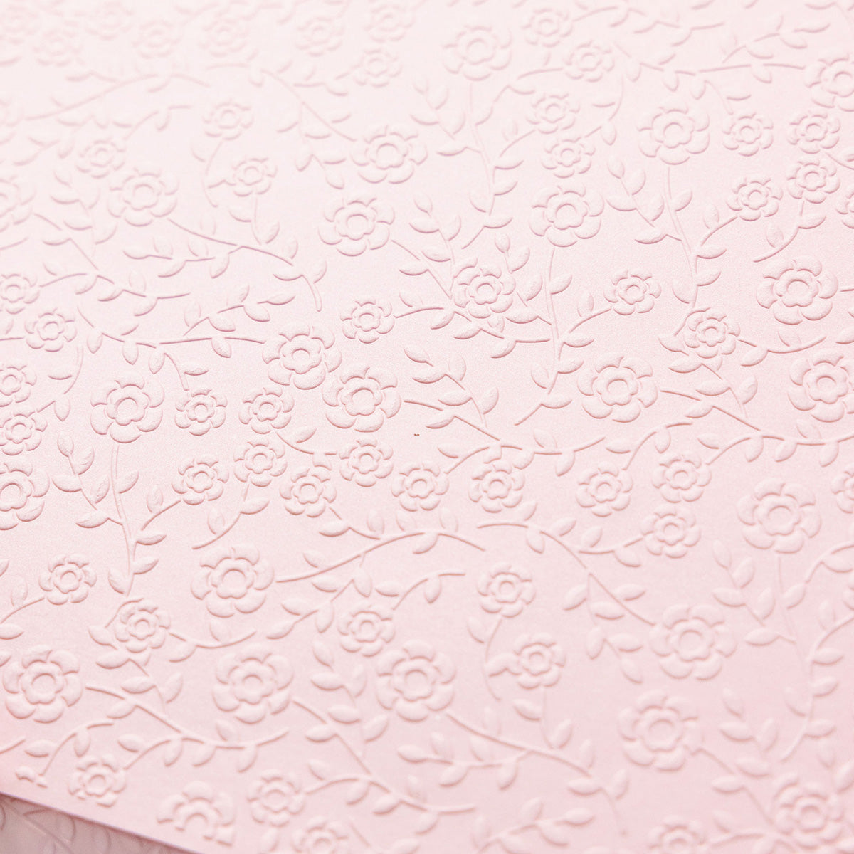 Chloe's Creative Cards - 8x8" 2D Embossing Folder - Peony Background