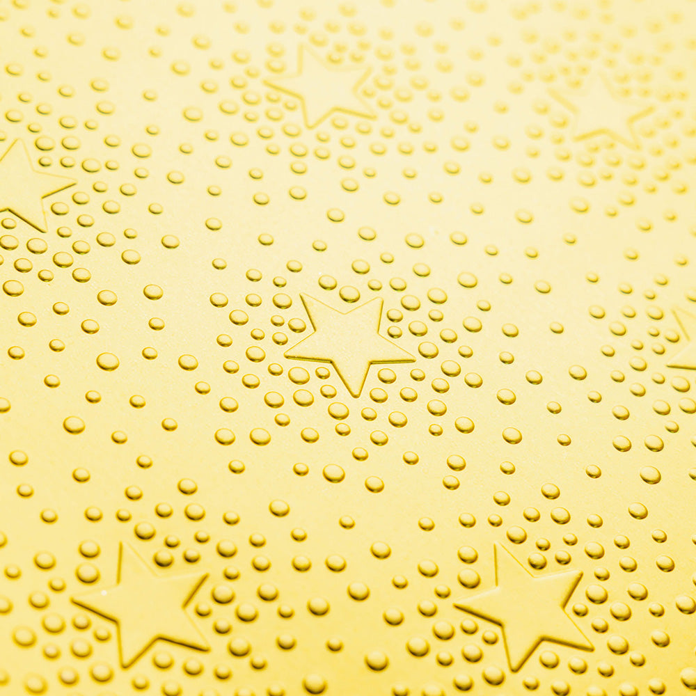 Chloe's Creative Cards - 8x8" 2D Embossing Folder - Starlit Star Background