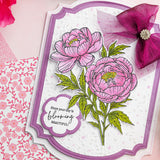 Chloes Creative Cards Metal Die Set –  6x8"Gilded Rectangles 2