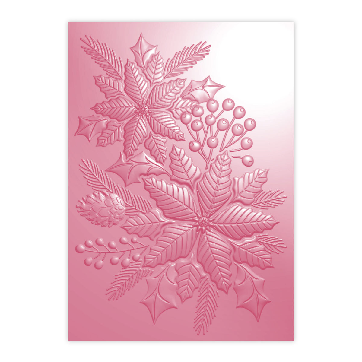 Chloe's Creative Cards 5x7 3D Embossing Folder, Stamp & Metal Die Set ...