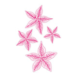 Chloes Creative Cards Die & Stamp Set - Christmas Poinsettia