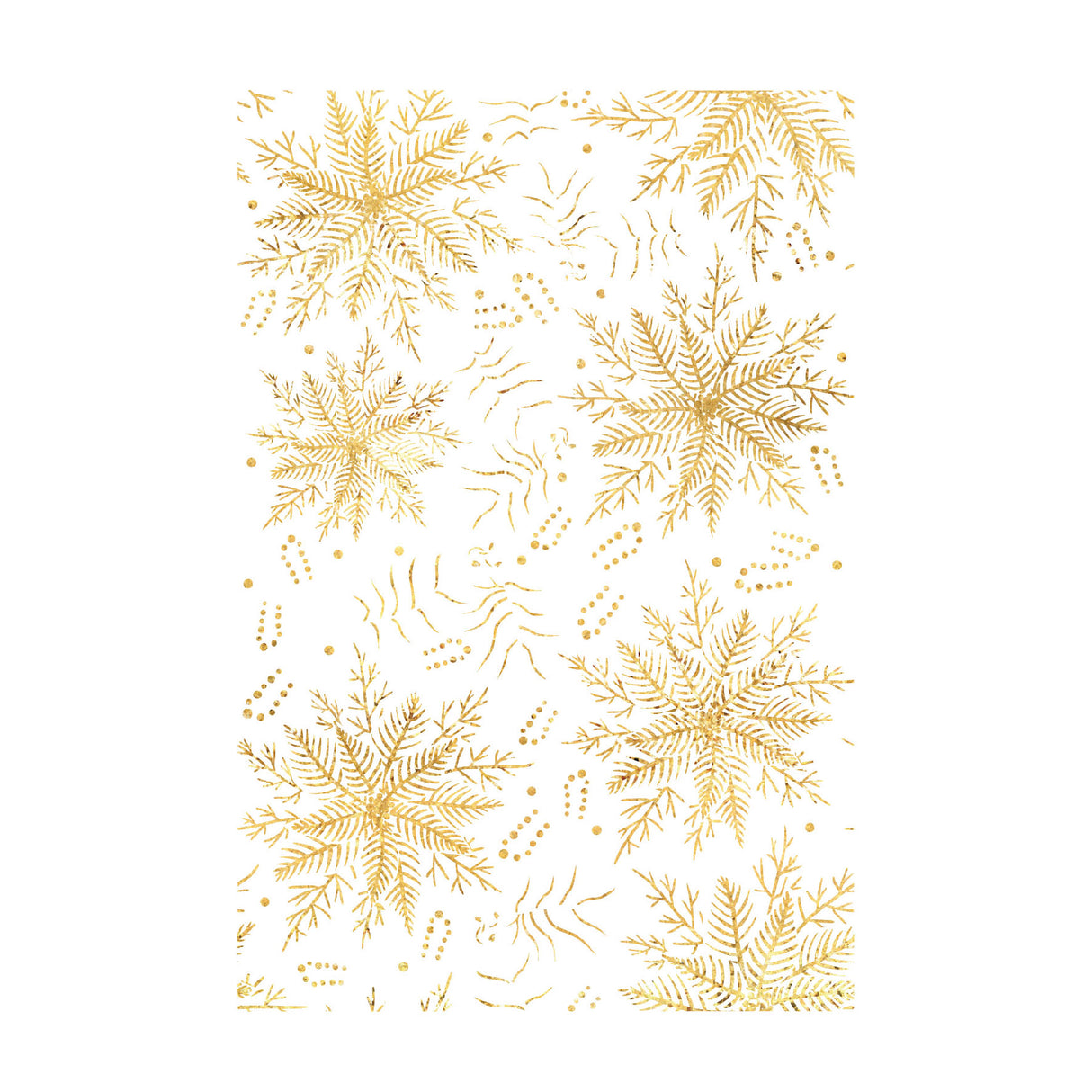 Chloes Creative Cards Photopolymer Stamp Set (A6) - Layered Poinsettia Background