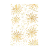 Chloes Creative Cards Photopolymer Stamp Set (A6) - Layered Poinsettia Background