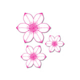 Chloes Creative Cards Die & Stamp Set – Summer Flower Trio
