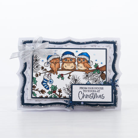 Chloes Creative Cards Photopolymer Stamp Set – Baby Owls